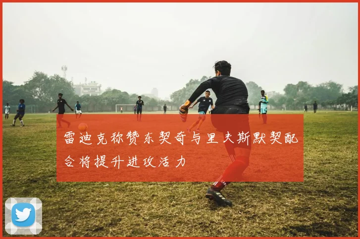 雷迪克称赞东契奇与里夫斯默契配合将提升进攻活力